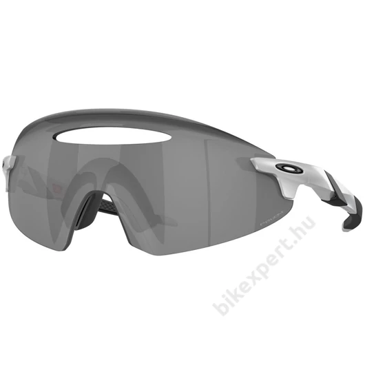 Oakley Encoder Ellipse X Silver Lencse: Prizm Black