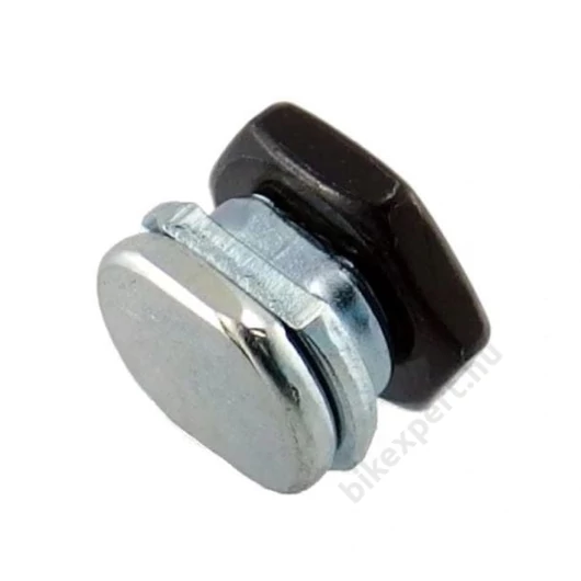 SHIMANO Bowdenrögzítő Csavar Nexus Agyhoz CJ7S40/20