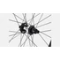 Kép 3/6 - Roval Traverse Alloy 350 6B Hátsókerék Szín: Black/Charcoal Méret: 29"