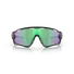 Kép 8/9 - OAKLEY Jawbreaker Matte Black Camo Lencse: Prizm Road