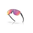 Kép 4/7 - OAKLEY Corridor Matte Transparent Lilac Lencse: Prizm Road