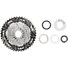 Kép 4/4 - SHIMANO CS-LG600-10 Fogaskoszorú 10 sebességes 11-43t
