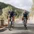 Kép 6/9 - Specialized S-Works Tarmac SL8 Team Vázszett Soudal Quick-Step Méret: 54 Szín: Team Quickstep