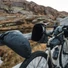 Kép 7/7 - SYNCROS Saddle Pack Szín: Fekete